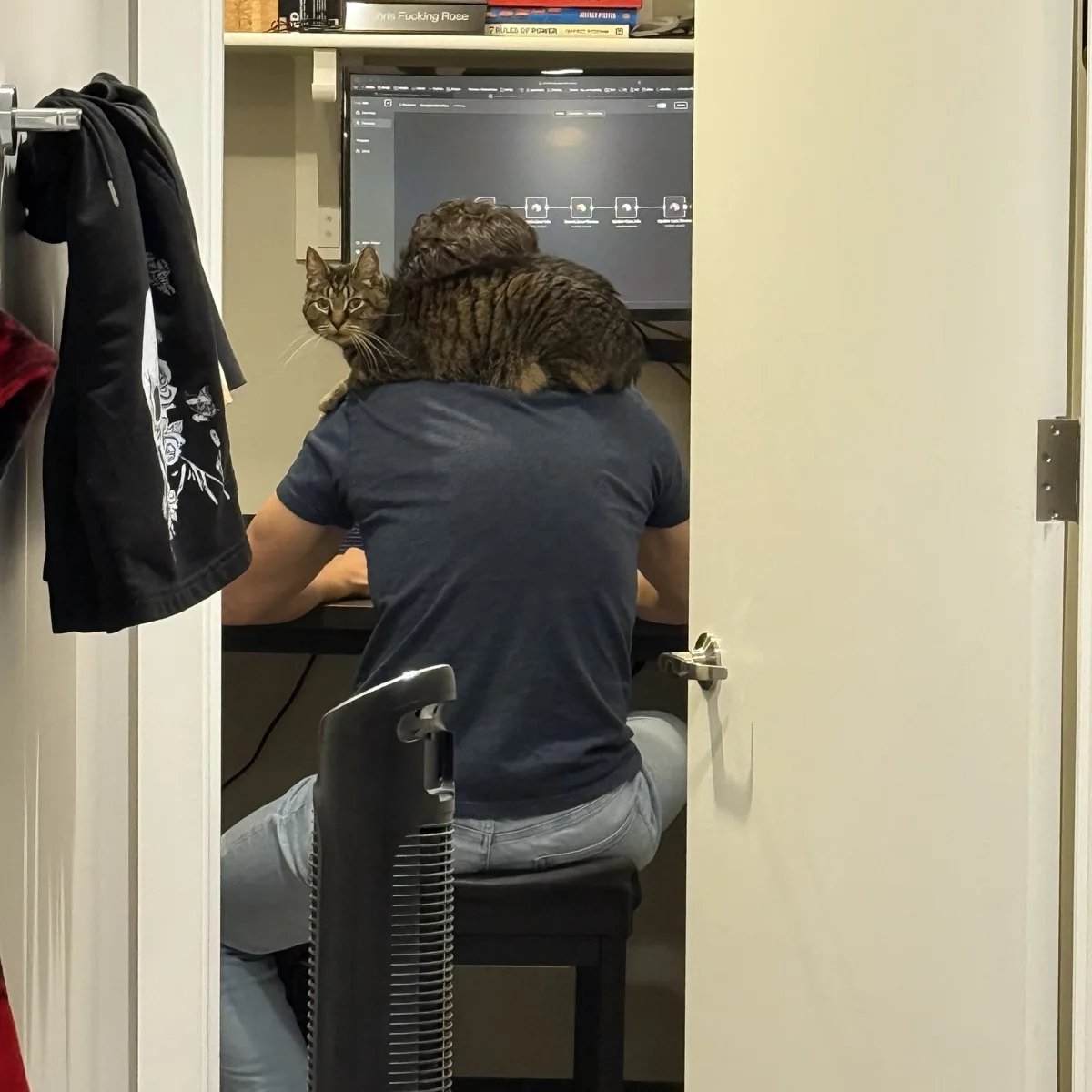 Chris Rose at his desk, cat on his shoulders